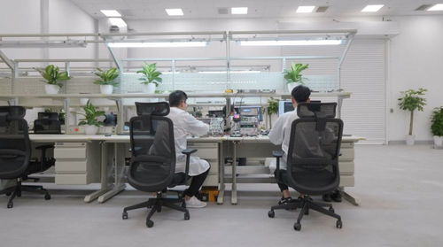 全年近50万辆 上海超级工厂如何为特斯拉全球交付量贡献半壁江山